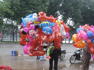 Hà Nội ngày đầu năm ảnh 5